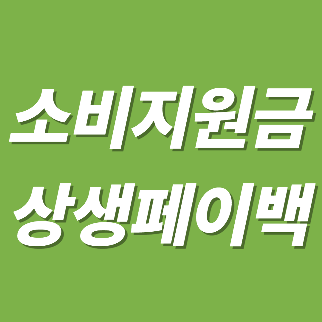 상생페이백