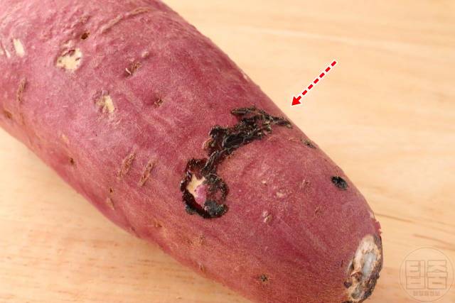 상한 고구마 구별,고구마 검은반점