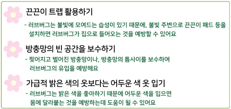 러브버그 퇴치법