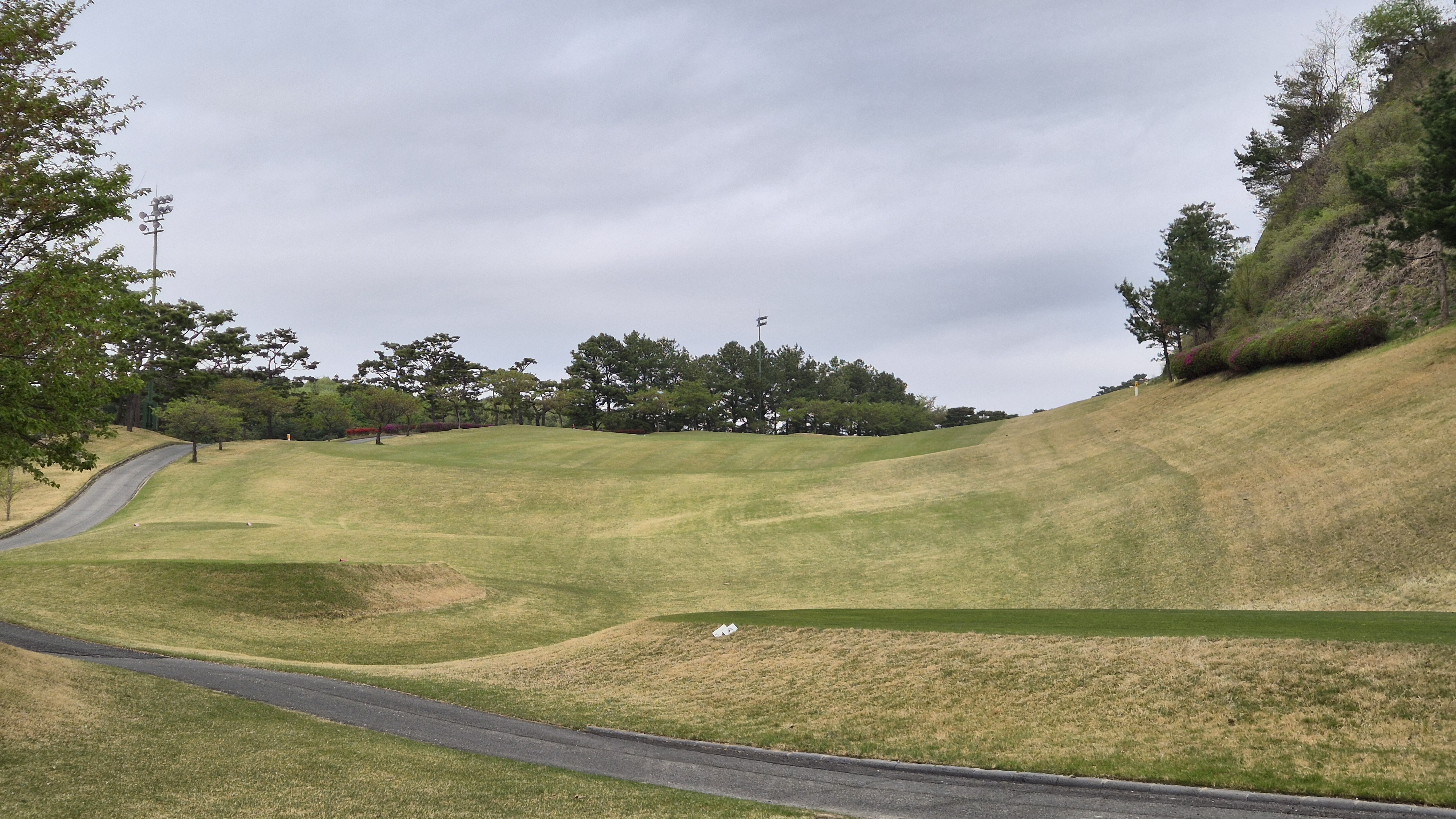 시그너스cc 코튼-라미 코스 사진 및 공략 정보