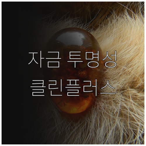 2025년, 클린플러스 보증으로 신기..