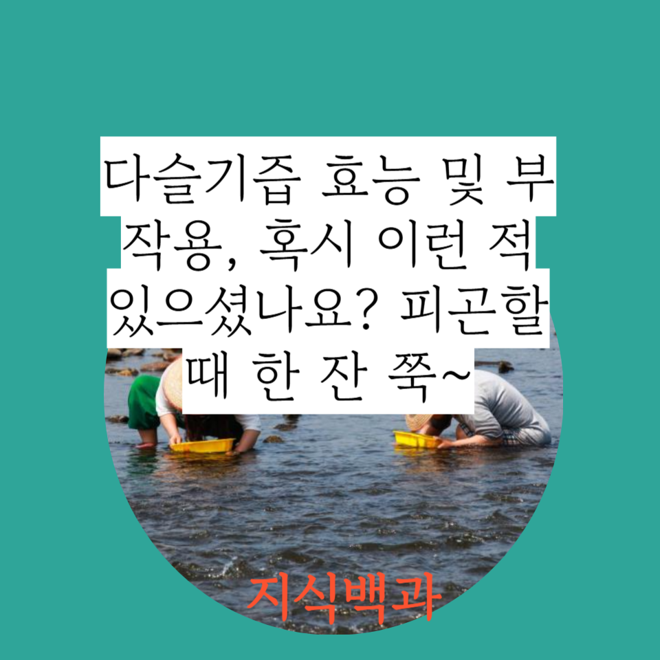 다슬기즙 효능 및 부작용, 혹시 이런 적 있으셨나요? 피곤할 때 한 잔 쭉~