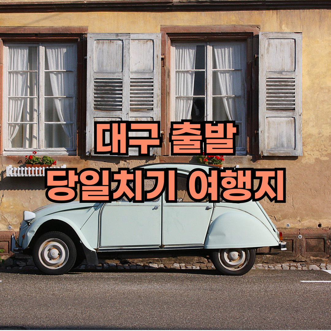 대구출발 당일치기 여행지 추천