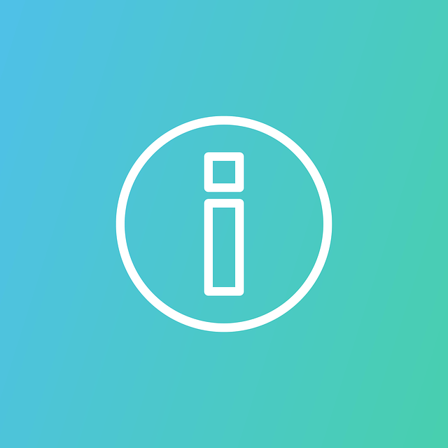 구매 가이드 정리