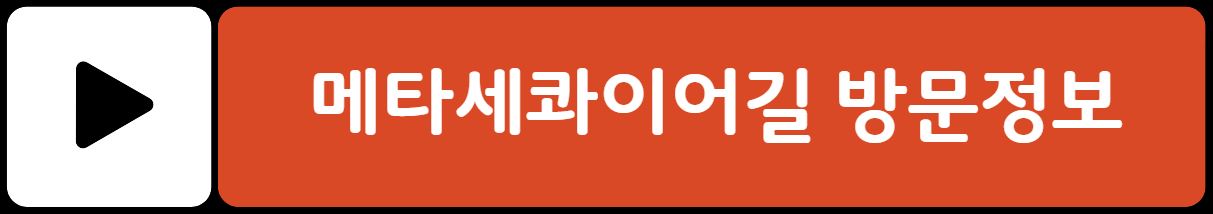 담양 메타프로방스