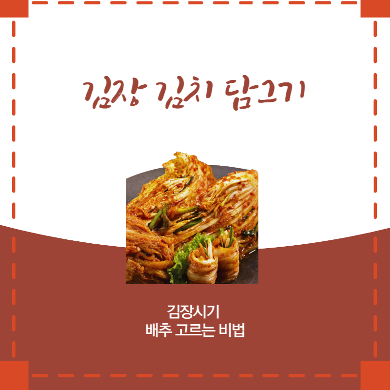 김장김치담그기