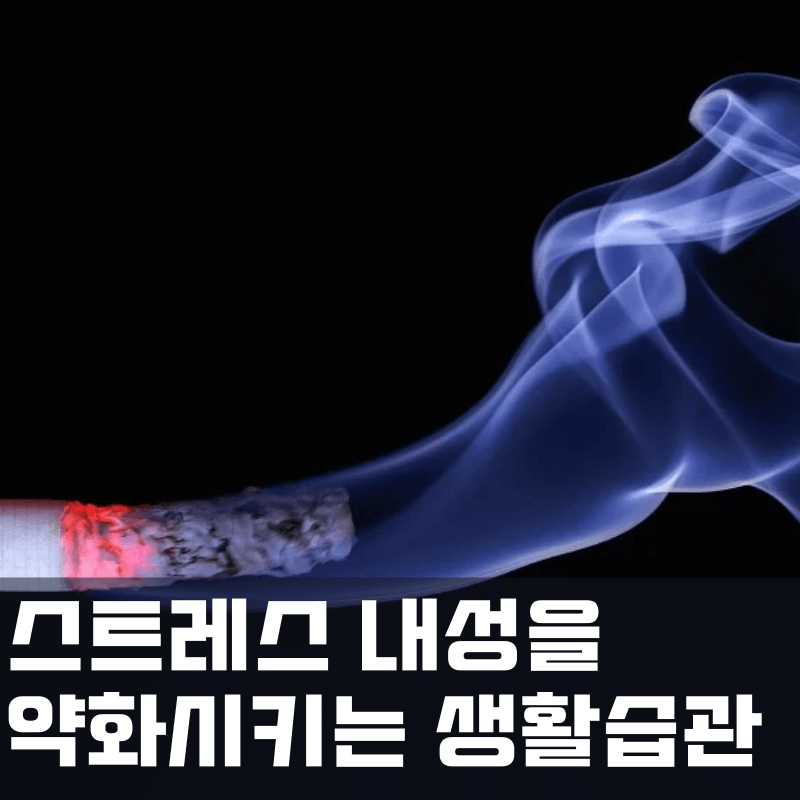 스트레스 내성을 약화시키는 생활습관