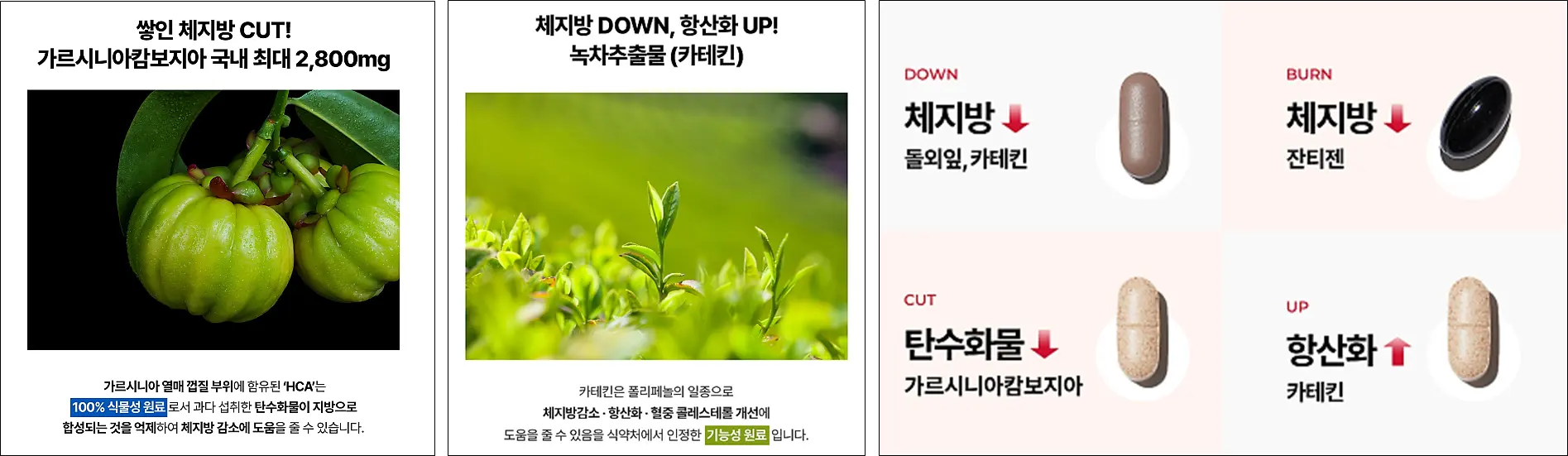 푸드올로지-제품성분들