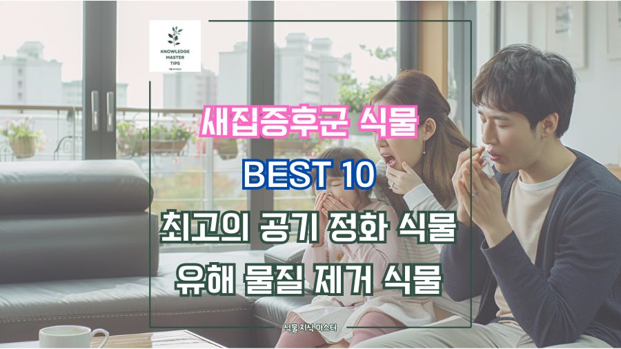 새집증후군 식물 BEST 10, 최고의 공기 정화 식물과 유해 물질 제거 식물
