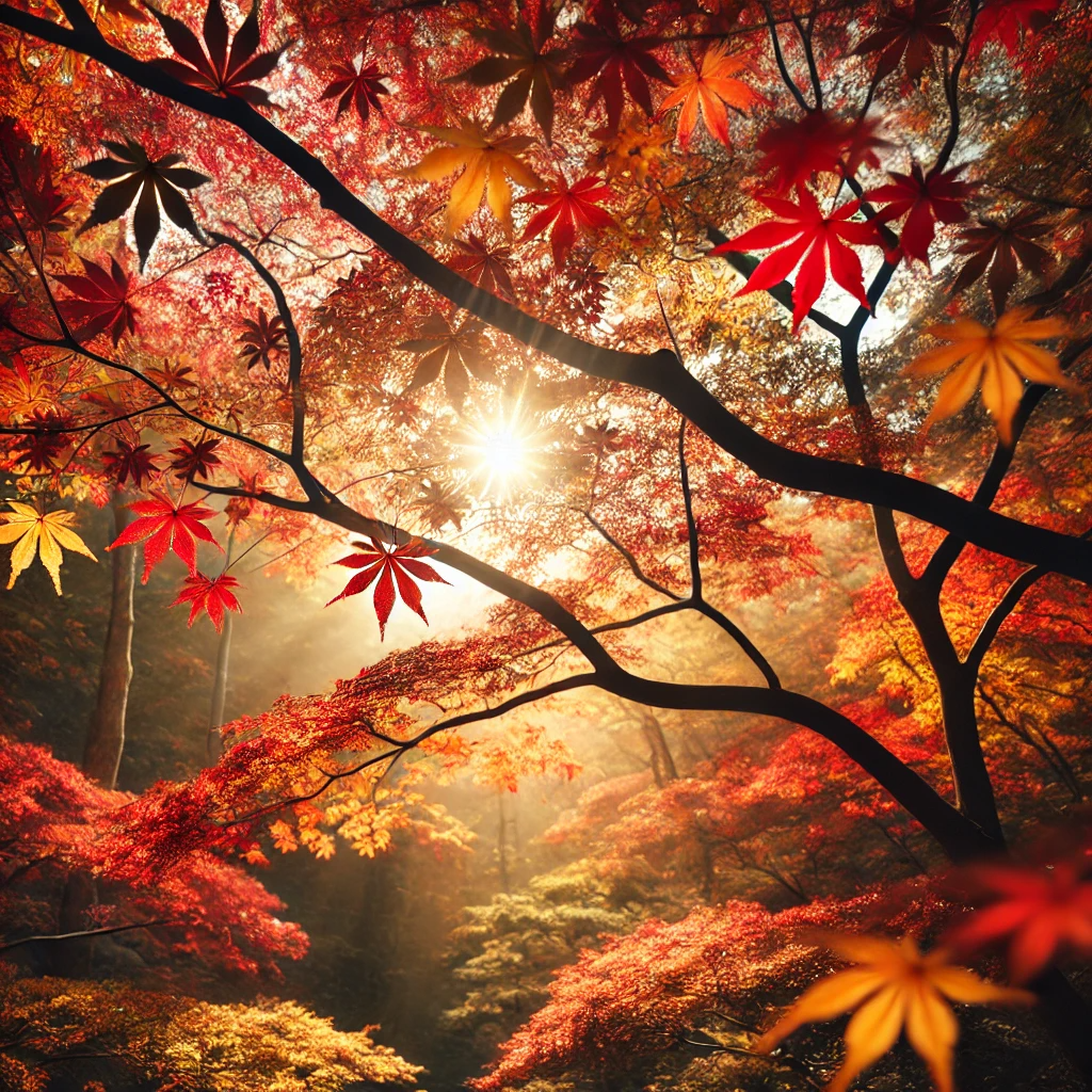 부산 금강공원의 나무 가지에 가득한 가을 단풍, 따뜻한 햇빛이 나뭇잎 사이로 비치는 평화로운 모습.