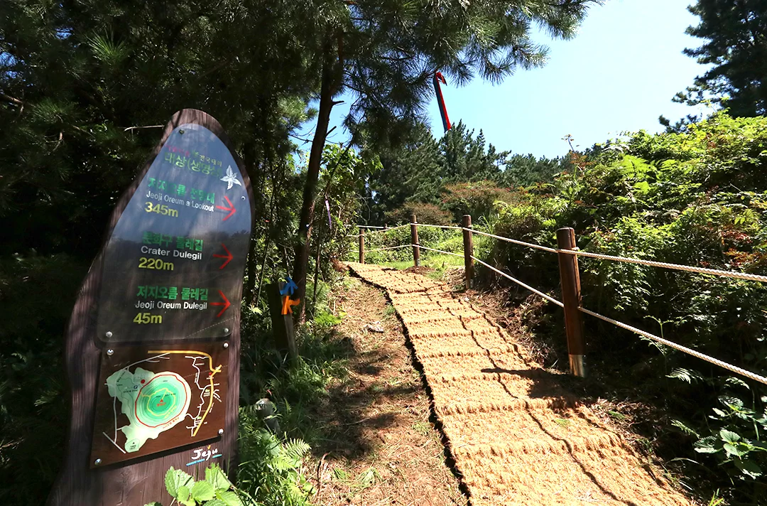 제주 올레길 13코스 용수-저지 올레 완주 가이드: 거리 소요시간 코스별 특징 정리