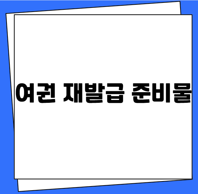 여권 재발급 준비물