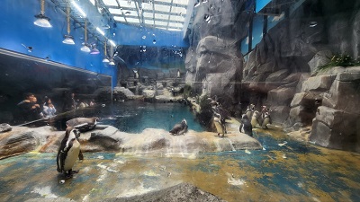 아쿠아 플라넷 제주