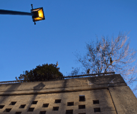 한전 전기요금조회