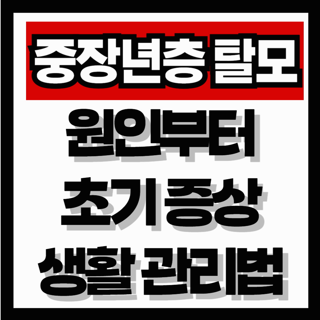 중장년층 탈모, 원인부터 초기 증상·생활 관리법까지 총정리