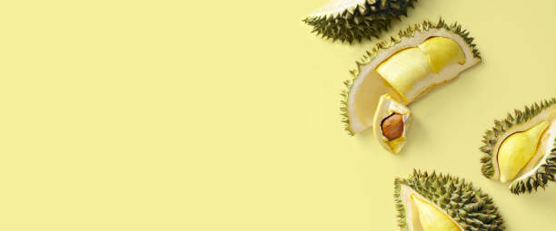 두리안 효능, 냄새 이유는 무엇일까요? 두리안은 직접 먹으면 매우 맛있지만 냄새는 상상 그 이상으로 지독하다고 알려져 있습니다. 냄새 이유와 두리안 칼로리 등 두리안에 대해 알아봤습니다. 참고하세요~