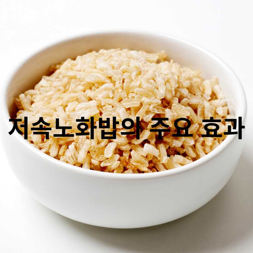 저속노화밥 효과와 저속노화밥 황금비율 공개!