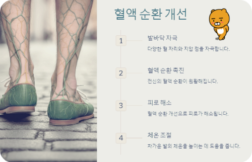 혈액 순환 개선