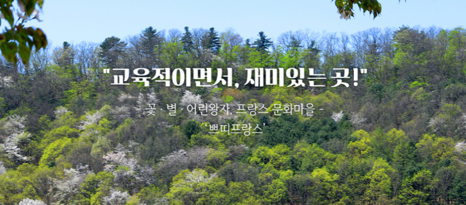 쁘띠프랑스 & 아침고요수목원 – 유럽 감성 가득