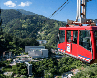 울릉도 독도 여행코스 크루즈요금 예약 숙소 맛집 날씨