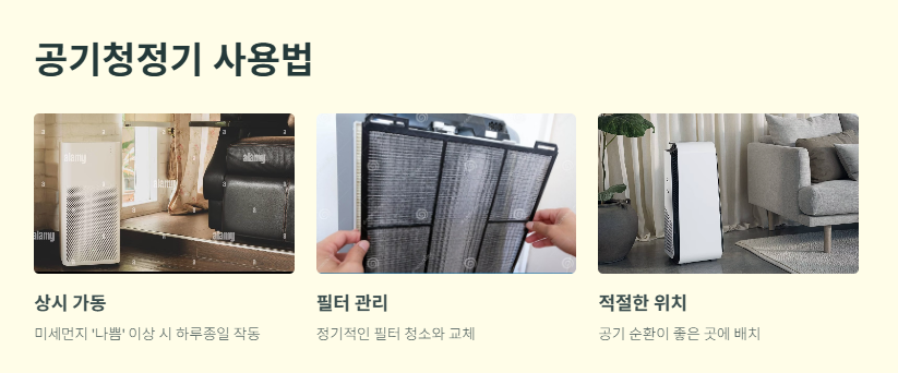 전국 미세먼지 예보
