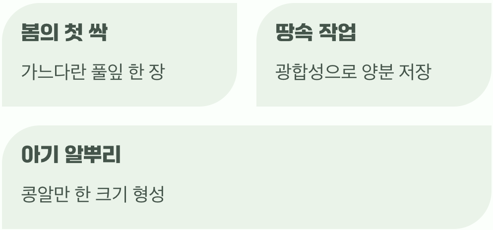 첫해의 만남&amp;#44; 가느다란 풀잎 하나