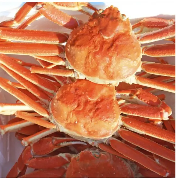 킹크랩