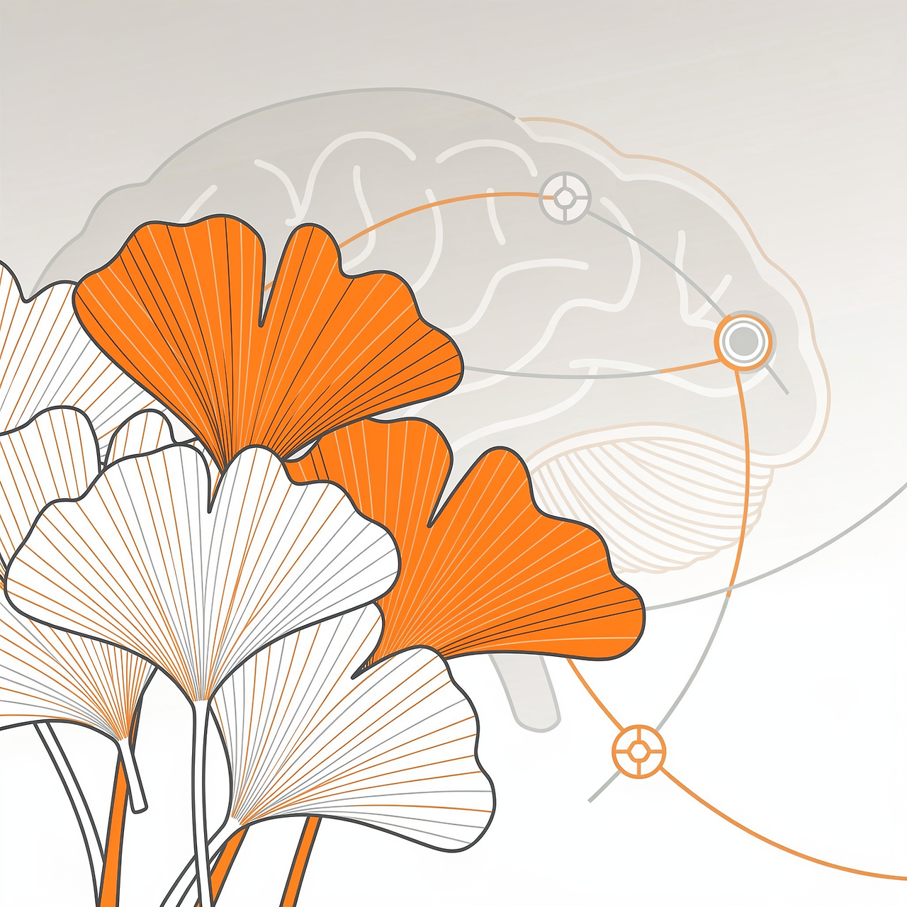 포스파티딜세린-효능-추천-제품-부작용