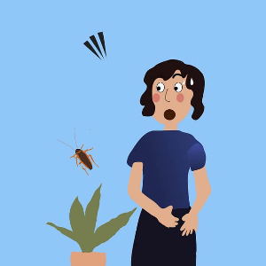 바튀벌레에 놀라는 여자모습