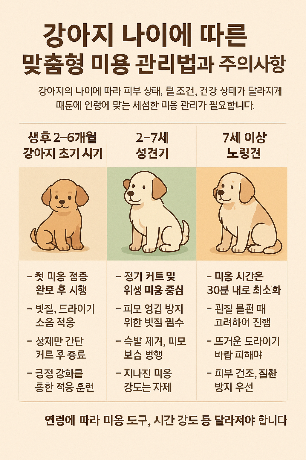 강아지 나이에 따른 미용 관리법 사진