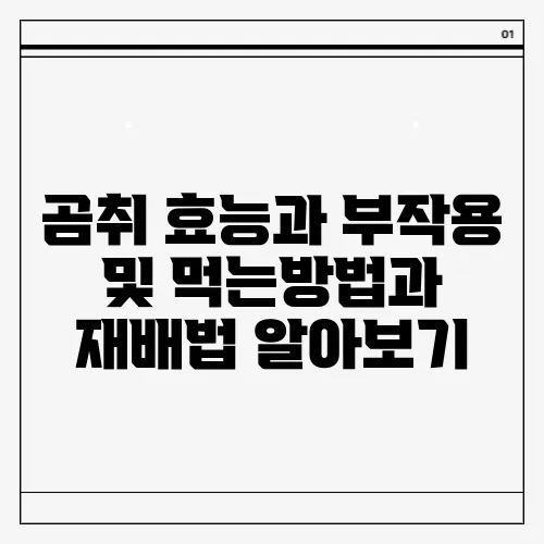 곰취 효능과 부작용 및 먹는방법과 재배법 알아보기