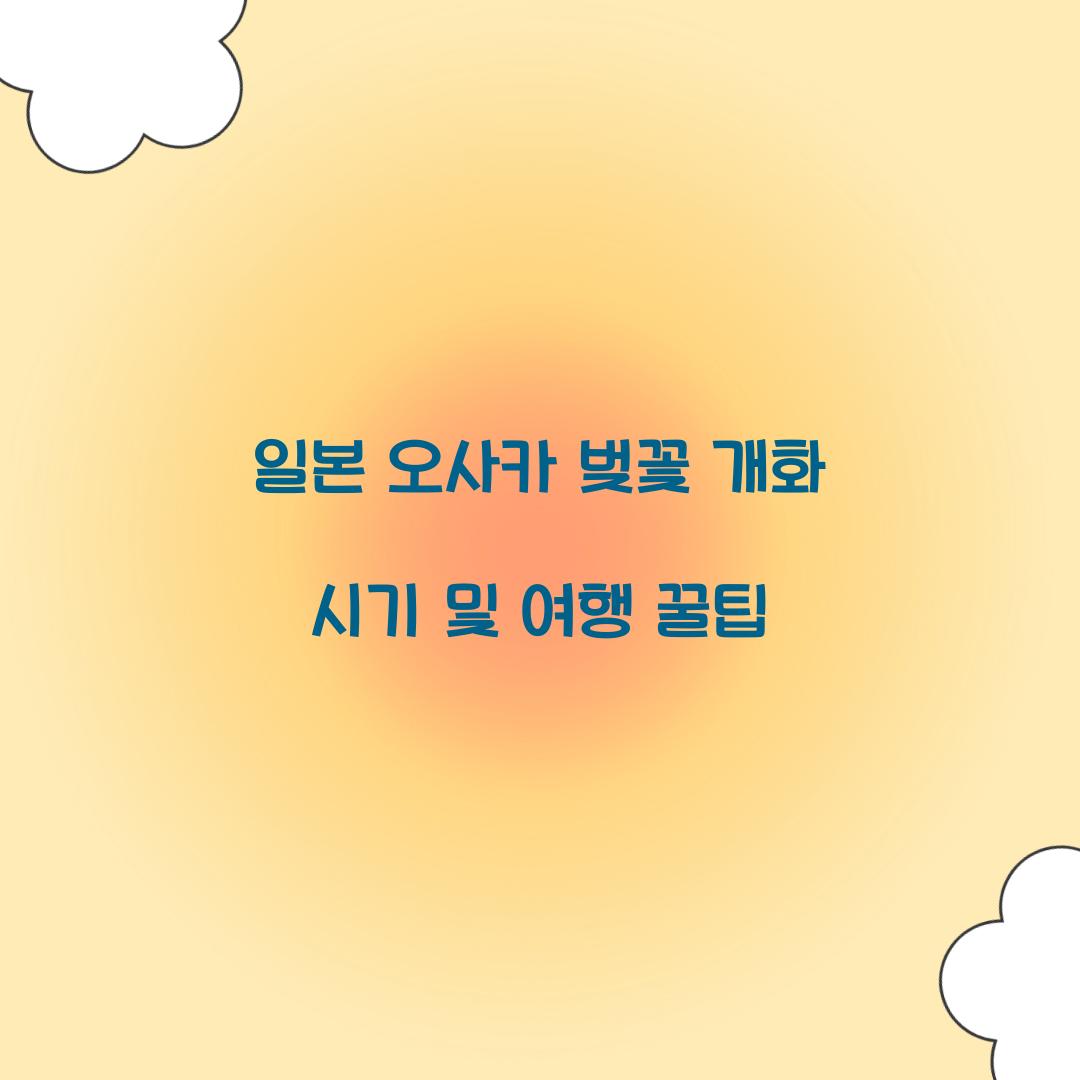 일본 오사카 벚꽃 개화 시기