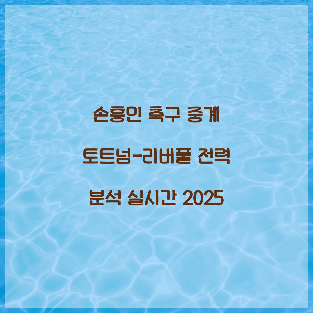 손흥민 축구 중계