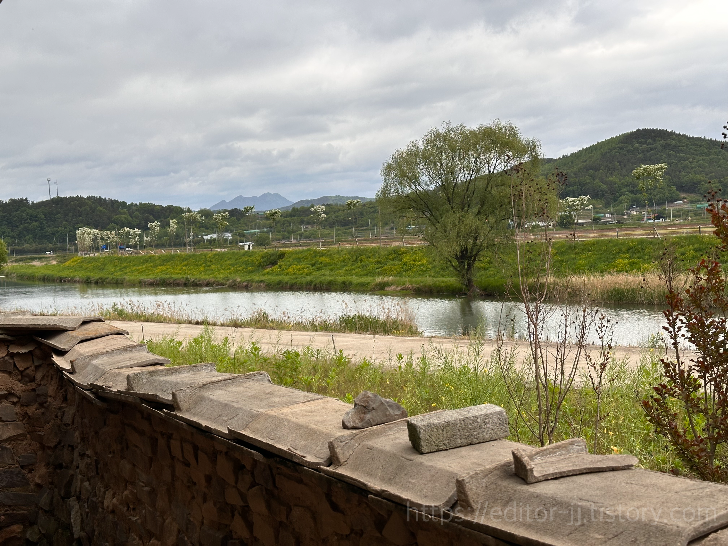 영화[리틀포레스트]촬영지 마당에서 내다본 개천