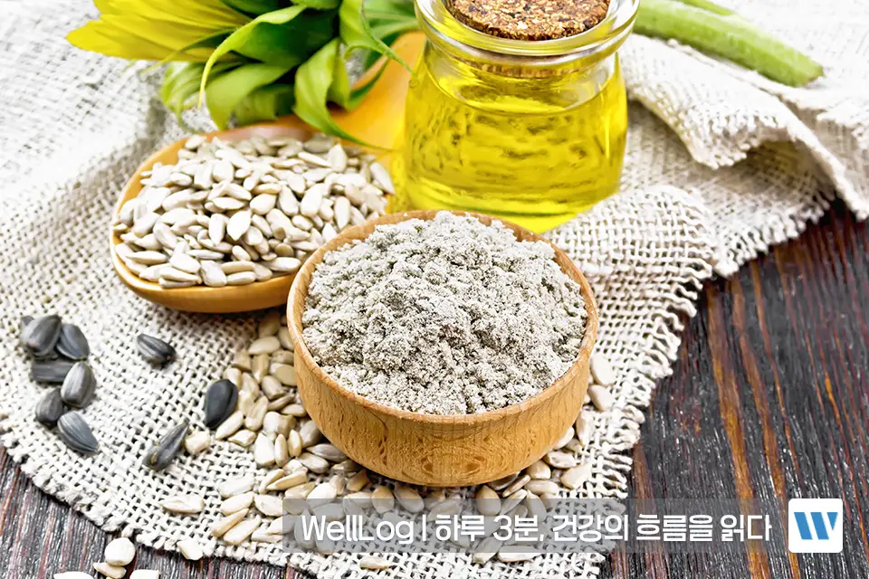 포스파티딜세린 추천 영양제