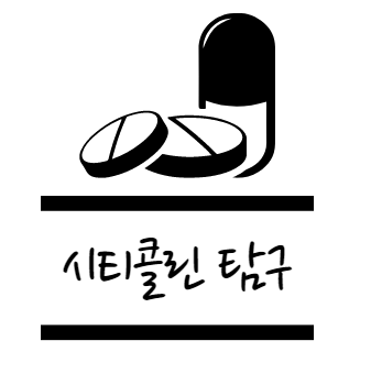 시티콜린 효능 탐구
