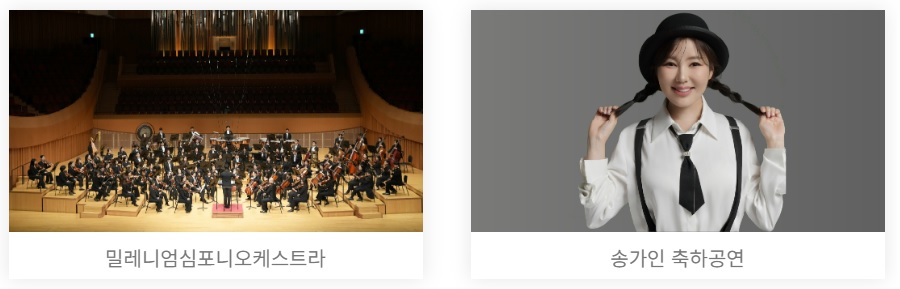 장성 황룡강 가을꽃 축제