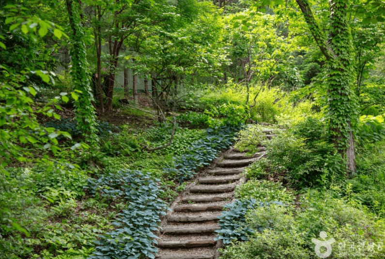 가평 가볼만한 곳 베스트10