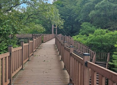 금산자연휴양림