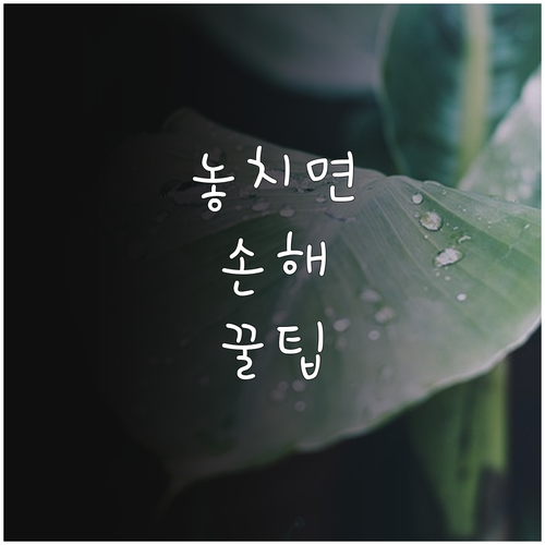 당신의 마음을 지켜줄 2025 거제시..