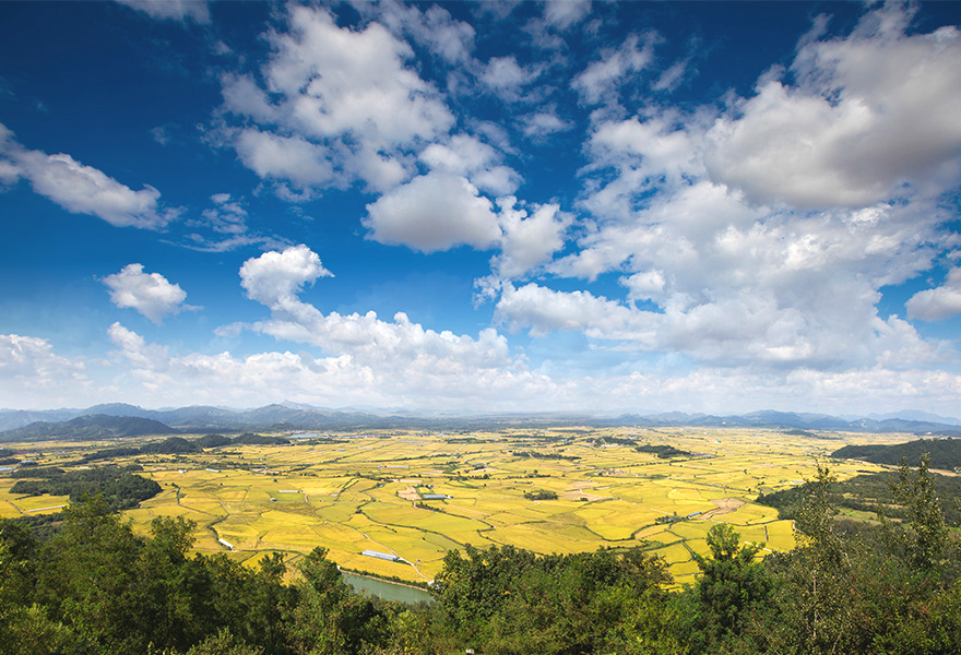 철원-소이산전망대