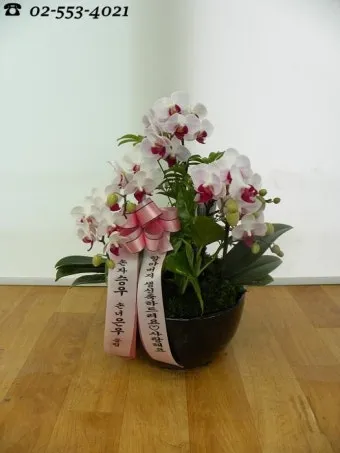 손주 축하 인사 돌 생일 유치원 입학 따뜻한 문구 모음_14