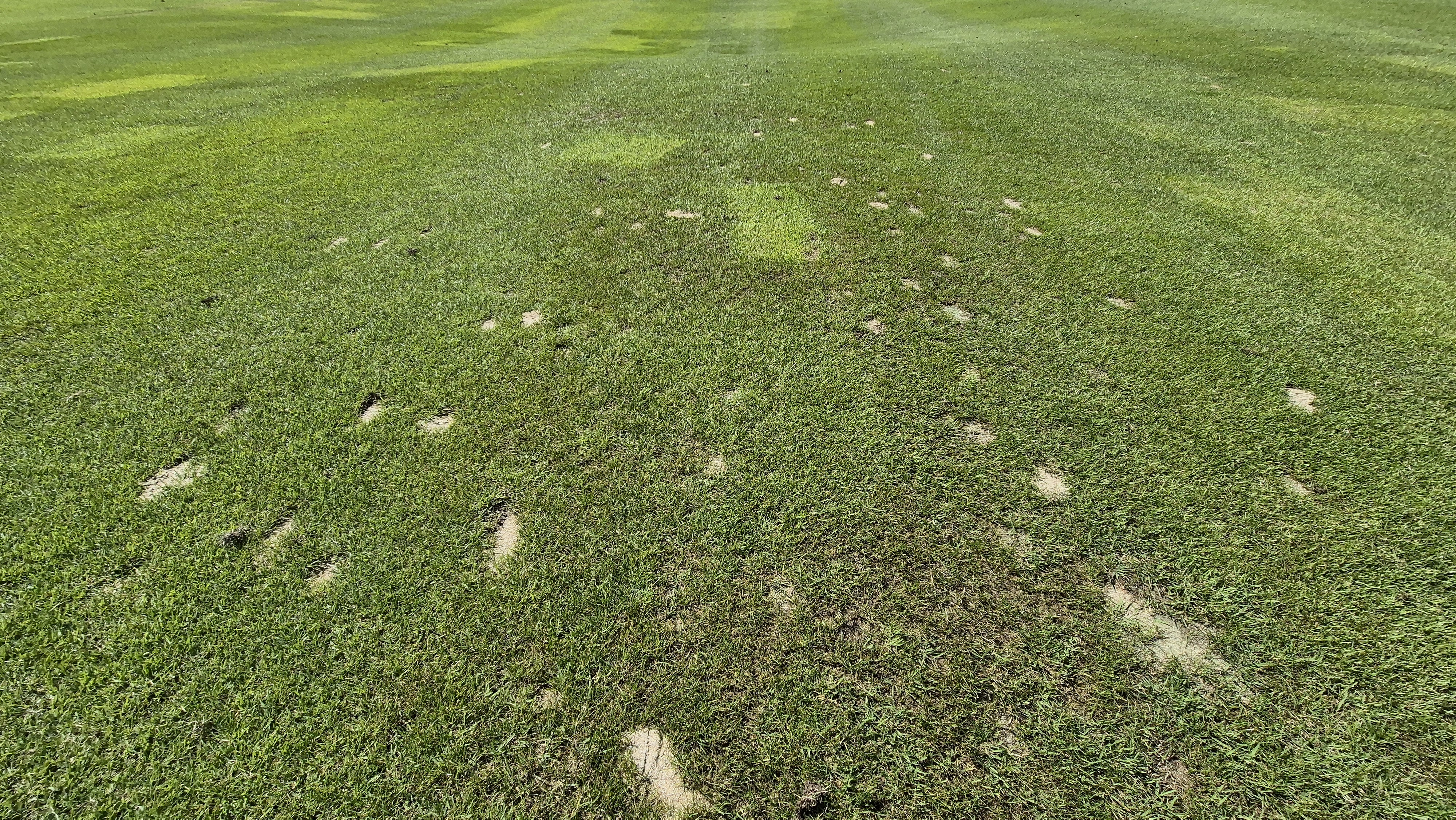 오로라cc 코스 관리 상태