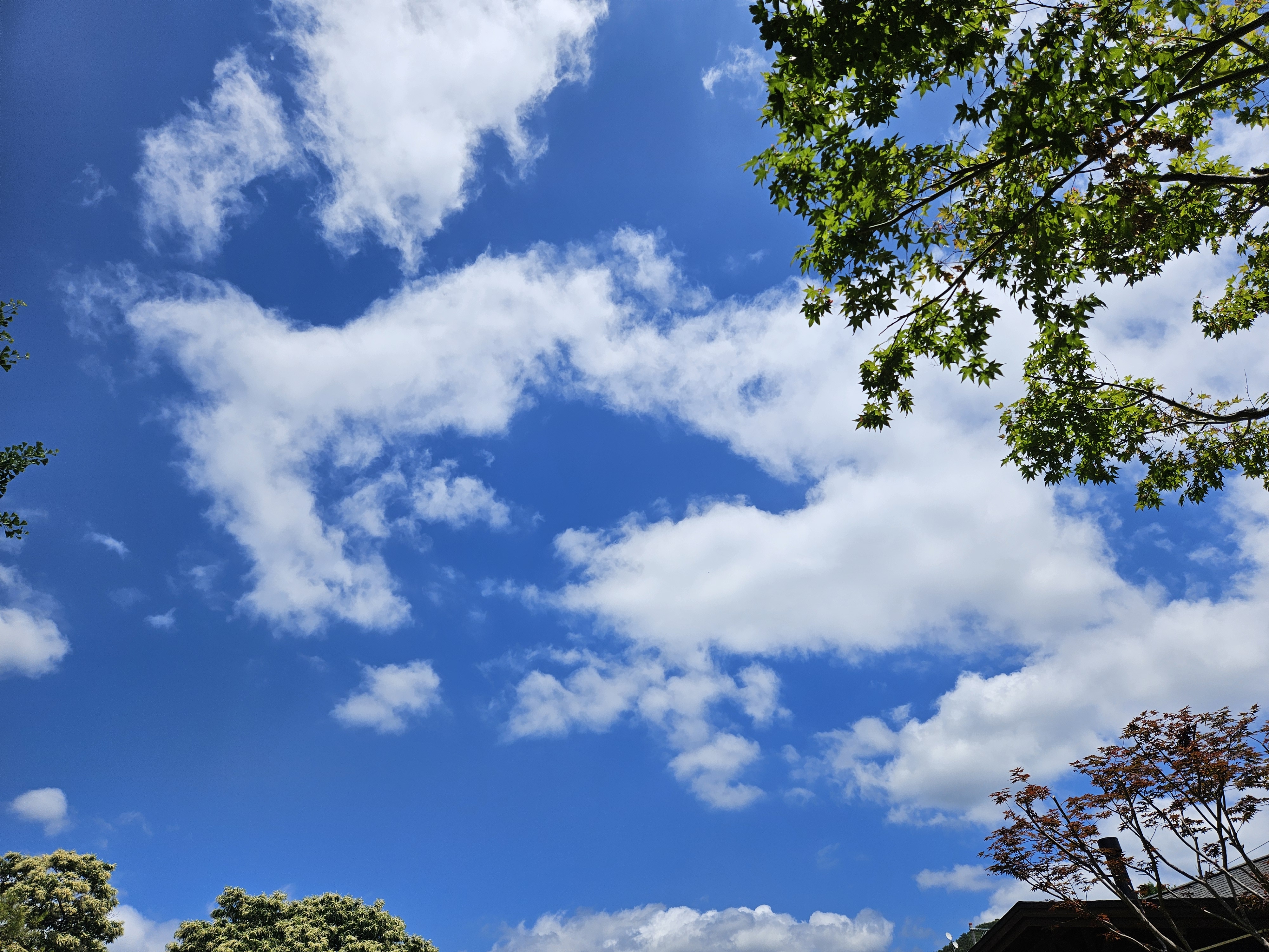 라온드뷰에서 바라본 북한강변 하늘
