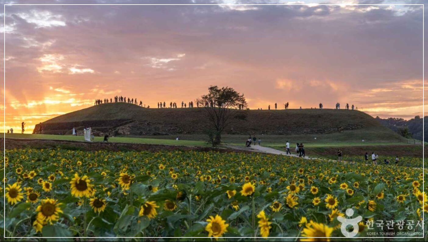 연천 가볼만한곳 베스트10 호로고루