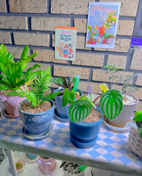 수박페페 잎무름