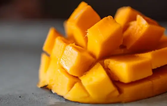 강아지가 먹어도 되는 과일 망고 사진