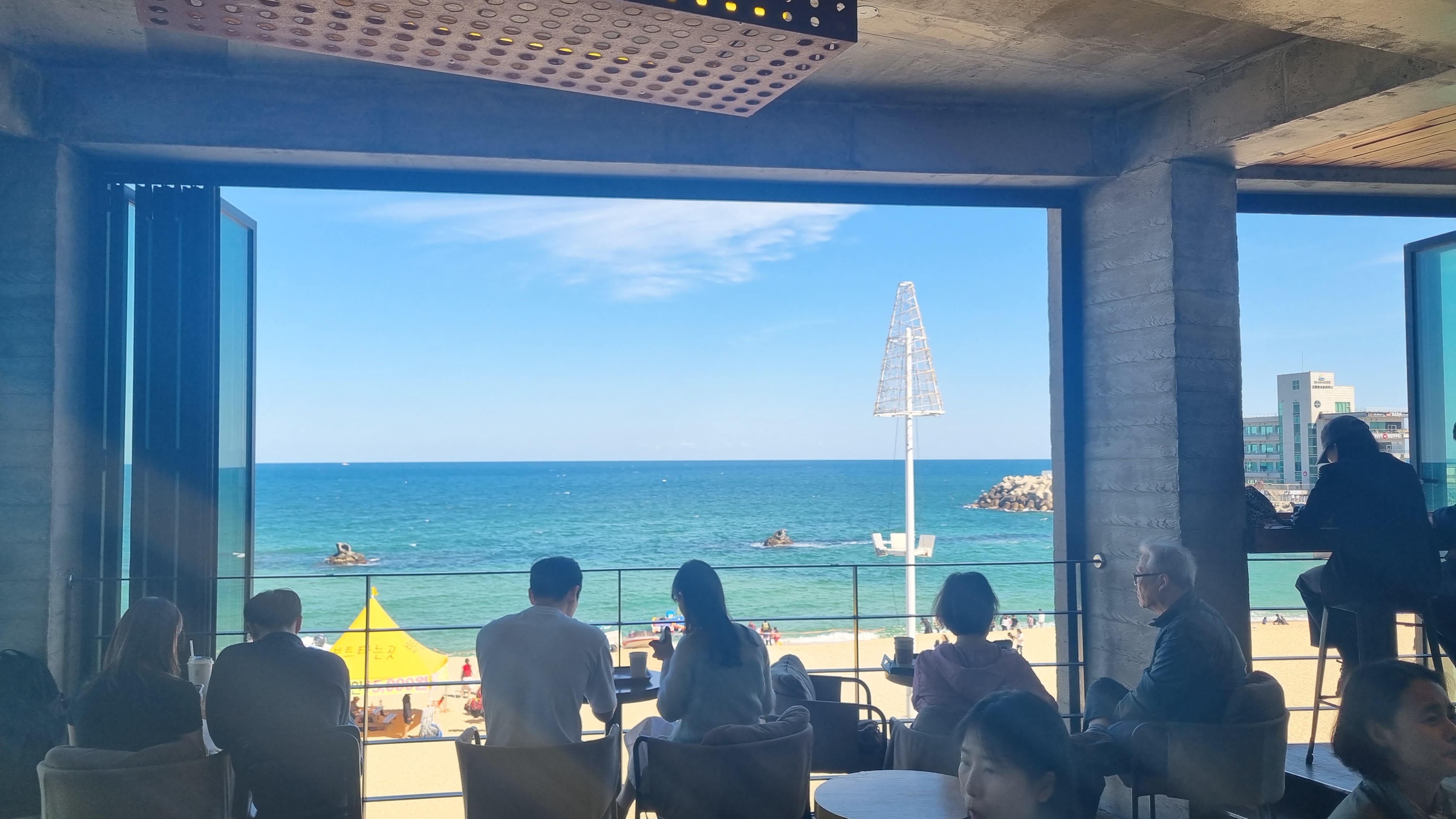 강릉 보사노바 - 카페 거리 카페 추천 애견 카페 안목 해변 가을 여행