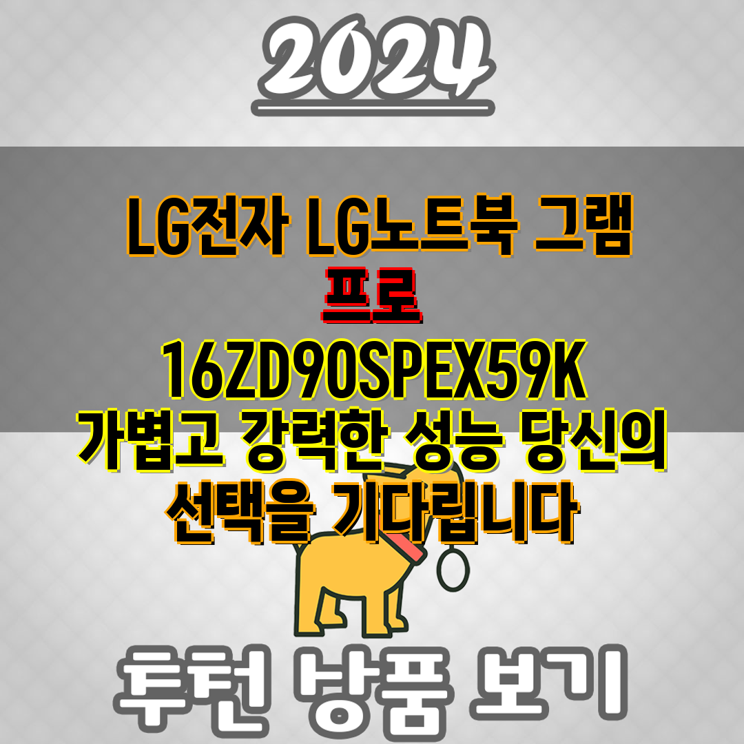  LG전자 LG노트북 그램 프로 16ZD90SPEX59