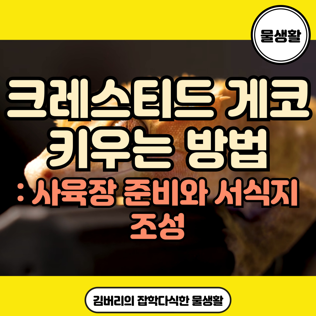 크레스티드 게코